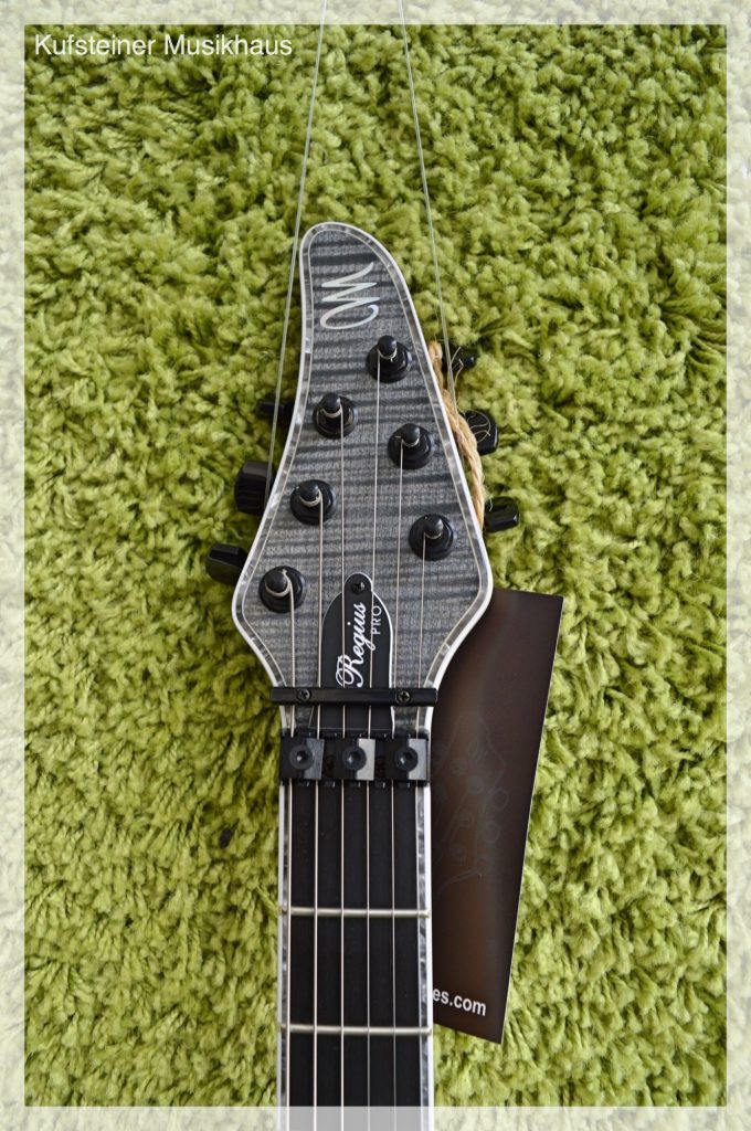 Mayones Regius Pro Transparent Graphite – Bild 4
